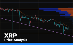 XRP Price Analysis — Bears Likely to Break the $0.17 Mark