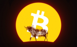 Bitcoin Price Undergoing Bullish Consolidation, Says Trader Scott Melker 