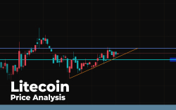 Litecoin (LTC) Price Analysis — Will Bears Retest $40 Before Going Higher?