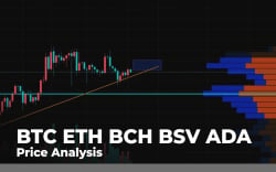 BTC, ETH, BCH, BSV, ADA Price Analysis: Is Growth for Altcoins Gonna Pause After Bitcoin (BTC) Becomes More Volatile?