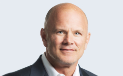 Mike Novogratz Recommends Having a Lot Less Bitcoin Than Gold. Here's Why
