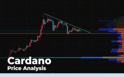 Cardano (ADA) Price Analysis — Going Down to $0.10 After Pump?