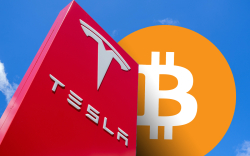Tesla Speculators Likely to Flock to Bitcoin Once Its Price Breaks Above $20,000: Economist