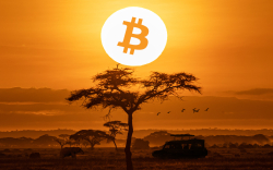 Bitcoin Trading Sees Explosive Growth in Africa in 2020