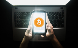Hackers Can Now Potentially Steal Crypto from Bitcoin Wallets Using This Bug