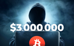 $3,000,000 Worth of Bitcoin Found in Twitter Hacker’s Coffers 