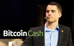 Roger Ver Names 3 Main Problems with Bitcoin Cash (BCH) 