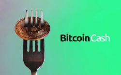 Bitcoin ABC: Another Bitcoin Cash Fork Is On the Way     