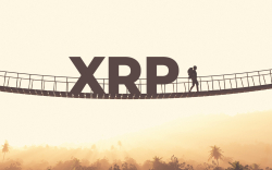 XRP as Bridge Currency Accounts for More Than One-Fifth of All Transactions on RippleNet