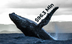 Crypto Whales Transfer $96.3 Mln In Bitcoin While BTC Transaction Size Is 30.8% Up