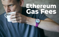 Ethereum Gas Fees Reach Fresh High But Vitalik Buterin Believes That You Are the Problem