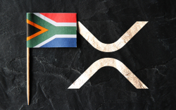 XRP's Utility Fork Flare Now Supported by Major South African Exchange