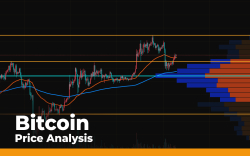Bitcoin (BTC) Price Analysis—Considering Chances of Bulls to Fix Above $11,000 in Short Term