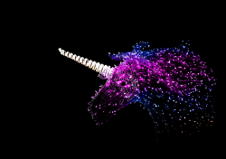 Uniswap's UNI Token Collapses 25 Percent as Exuberance Reaches Unprecedented Levels 