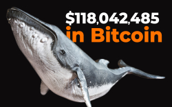 Crypto Whales Shift $118,042,485 in Bitcoin as BTC Hangs Below $10,500