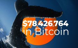 Whales and Binance Move $78,426,764 in Bitcoin While BTC Mean Transfer Volume Hits New Major High