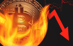 Number of Bitcoin Wallets Storing 10+ BTC Sees Major Drop as BTC Is Struggling Above $10,000