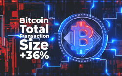BTC Total Transaction Size Spikes 36% in Past 24 Hours While BTC Enters $10,700 Zone