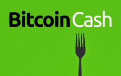 Bitcoin Cash Hard Fork to Gain Support from OKEx, BCH Holders Will Receive New Tokens 1:1