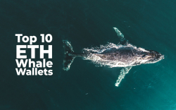 Top 10 Crypto Whales Confident in ETH as They Withdraw 20.5% ETH from Exchanges