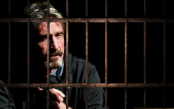 New “McAfee Report” From His Prison Cell Details Peculiarities of Jail Life 