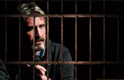 John McAfee Starts Tweeting from Prison, Brings Up Epstein Conspiracy