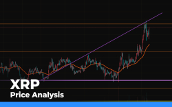 XRP Price Analysis for November 19