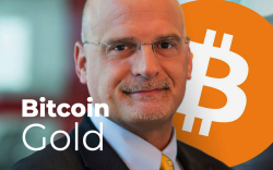 Bloomberg Expert Mike McGlone: Bitcoin on Pace to Hit $20,000, Gold - $2,000