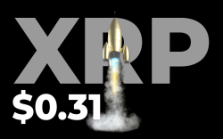 XRP Hits $0.31 Yet Another Time This year