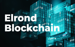 Elrond Blockchain Lists EGLD on eToroX, Announces Wallet and App Launch
