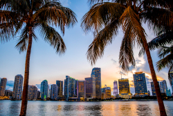 Miami Could Put One Percent of Its Treasury Reserves Into Bitcoin, Mayor Francis Suarez Alleges