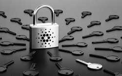 Cardano Prepares to Integrate Token Locking Before Introducing Smart Contracts