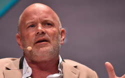 Mike Novogratz Warns Bitcoin Could Go Down If Speculative Bubble Bursts