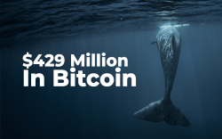 Anonymous Whale Shifts Amount Close to $429 Million In Bitcoin
