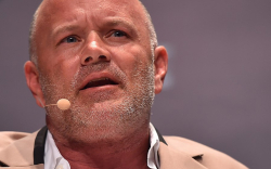 Bitcoin Should Be Compared to Gold, Not to Other Crypto: Mike Novogratz