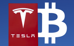 Bitcoin and Tesla Stock Likely to Halve in Value: Deutsche Bank Survey