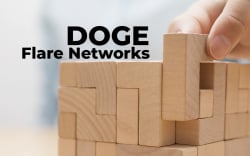 Flare Networks (FLR) Considering Adding DOGE as F-Asset. Why?