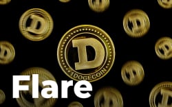 Dogecoin (DOGE) Approved by Flare Community as New Asset