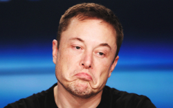 Bitcoin and Tesla Plunge While Elon Musk Sends Dogecoin Soaring Yet Again