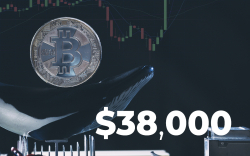 Number of Mid-Sized Bitcoin Whales Hit New All-Time High as BTC Surged Above $38,000