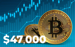 Bitcoin Surges Above $48,000 After Record-Shattering "Elon Candle"