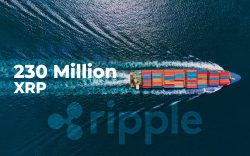 230 Million XRP Shifted by Whales, While Ripple-Friendly Azimo Launches New Remittance Service