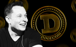 Dogecoin Plunges 20 Percent After This Elon Musk Tweet
