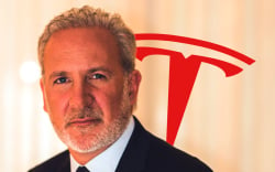 Tesla Shareholders Down 5% on TSLA Since Bitcoin Acquisition, Peter Schiff Claims