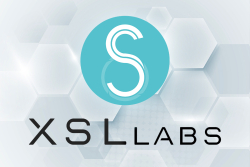 How XSL Labs Builds Go-To Ecosystem for Decentralized Identity Management