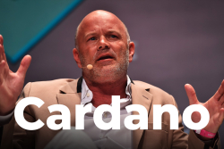 Bitcoin Tycoon Mike Novogratz Takes Interest in Cardano (ADA)