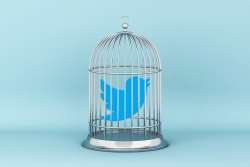 Twitter Suspends Accounts of PlanB, CryptoDog, and Other Crypto Influencers
