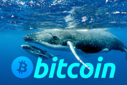 Bitcoin Whales Becoming Active, Transactions Rising Substantially, That's Quite Striking: Santiment