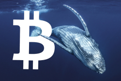 Whales and Institutions Hold onto Bitcoin Despite Correction: Santiment