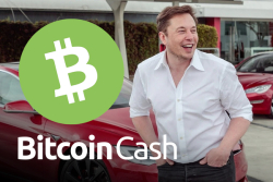 Elon Musk Agrees That Bitcoin Cash Has Certain Advantages Over Bitcoin